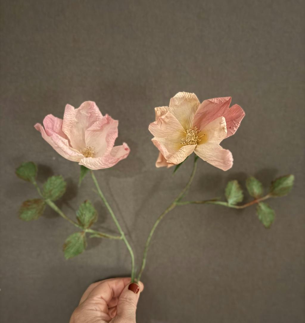 Vilde roser opskrift - begynder