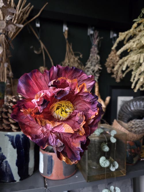 Valmue opskrift - begynder