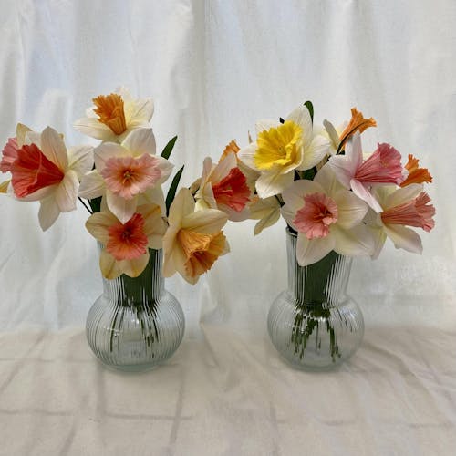 Påskelilje opskrift - begynder