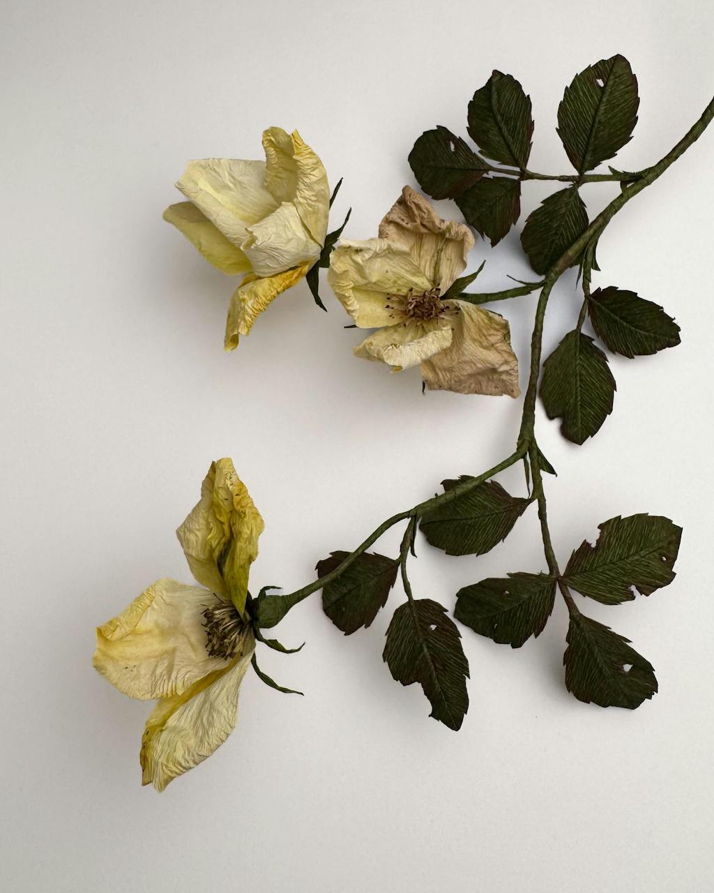 Vilde roser opskrift - begynder