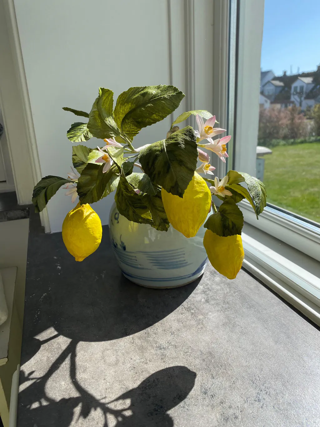 Citron opskrift - let øvet