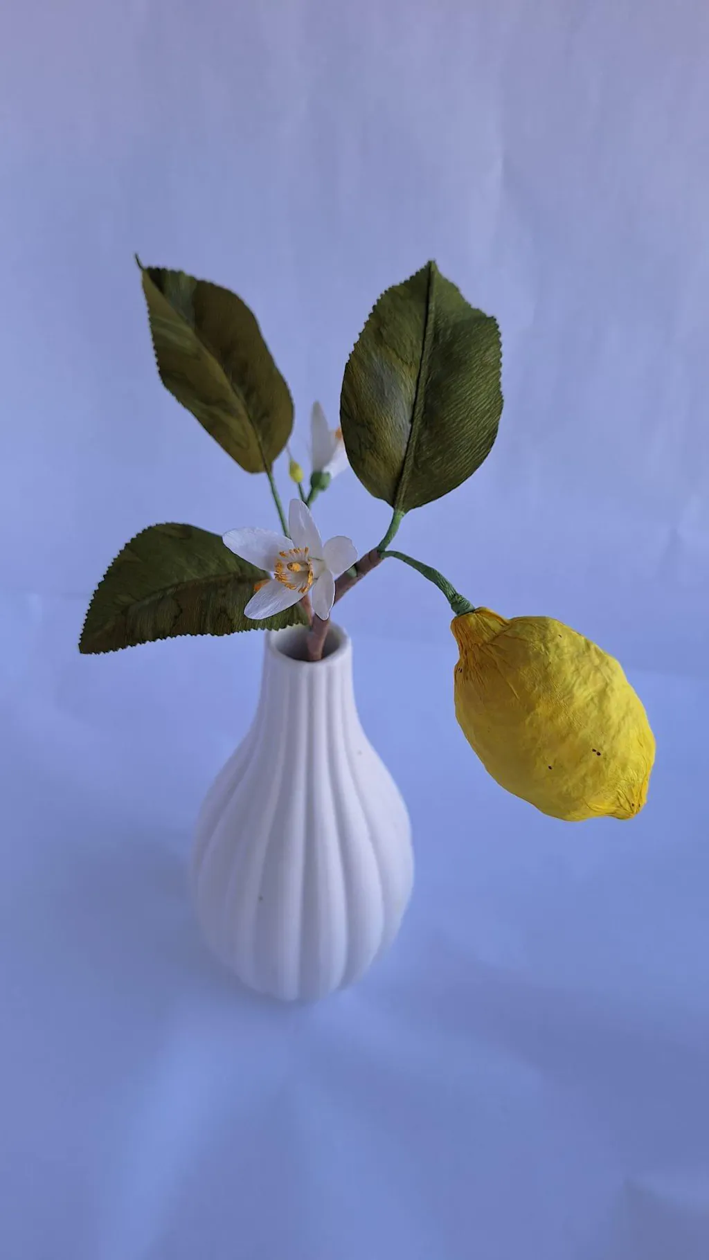 Citron opskrift - let øvet