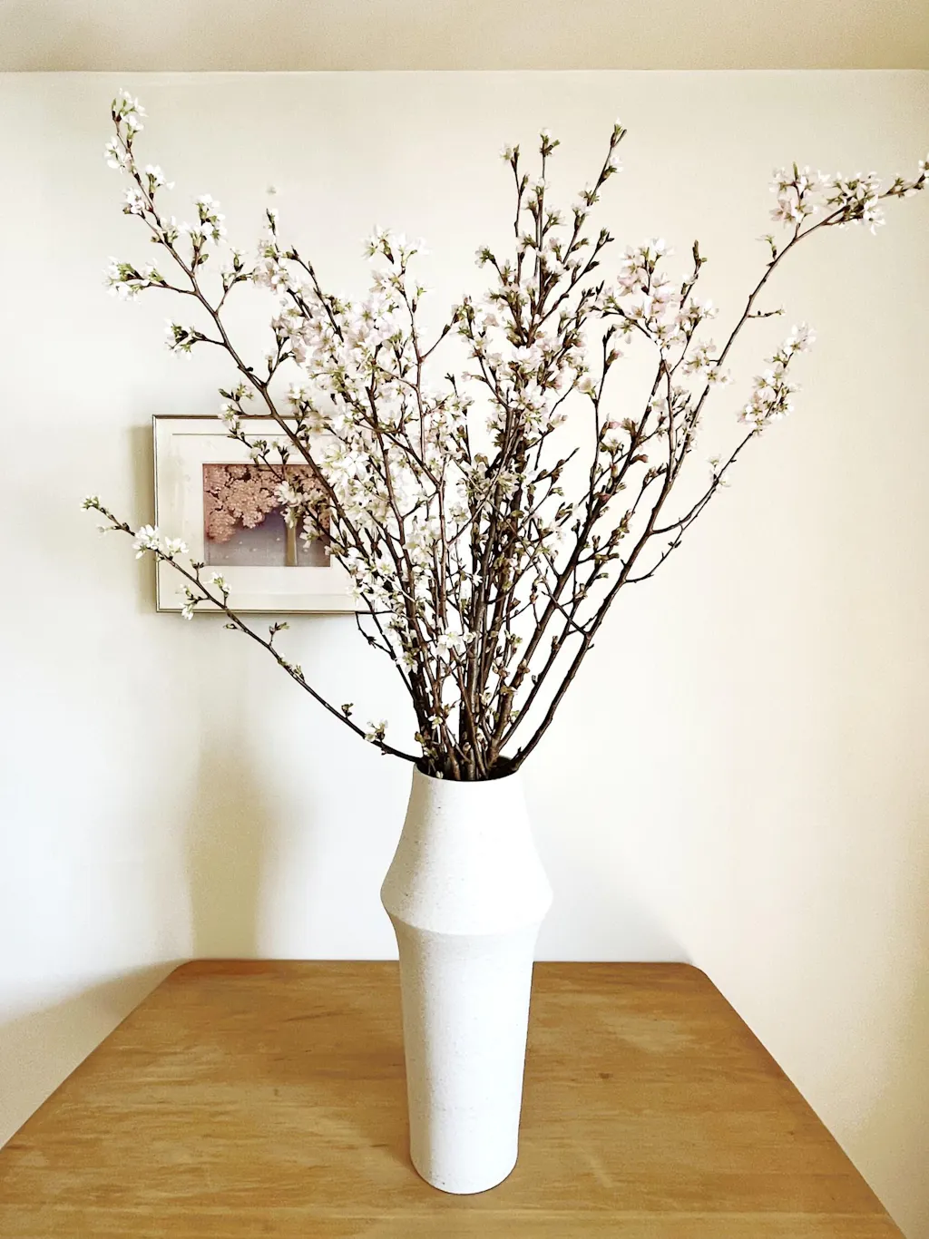 SHIRAKABA ｜ シルエットと陰影が美しい枝もの花器 (sku