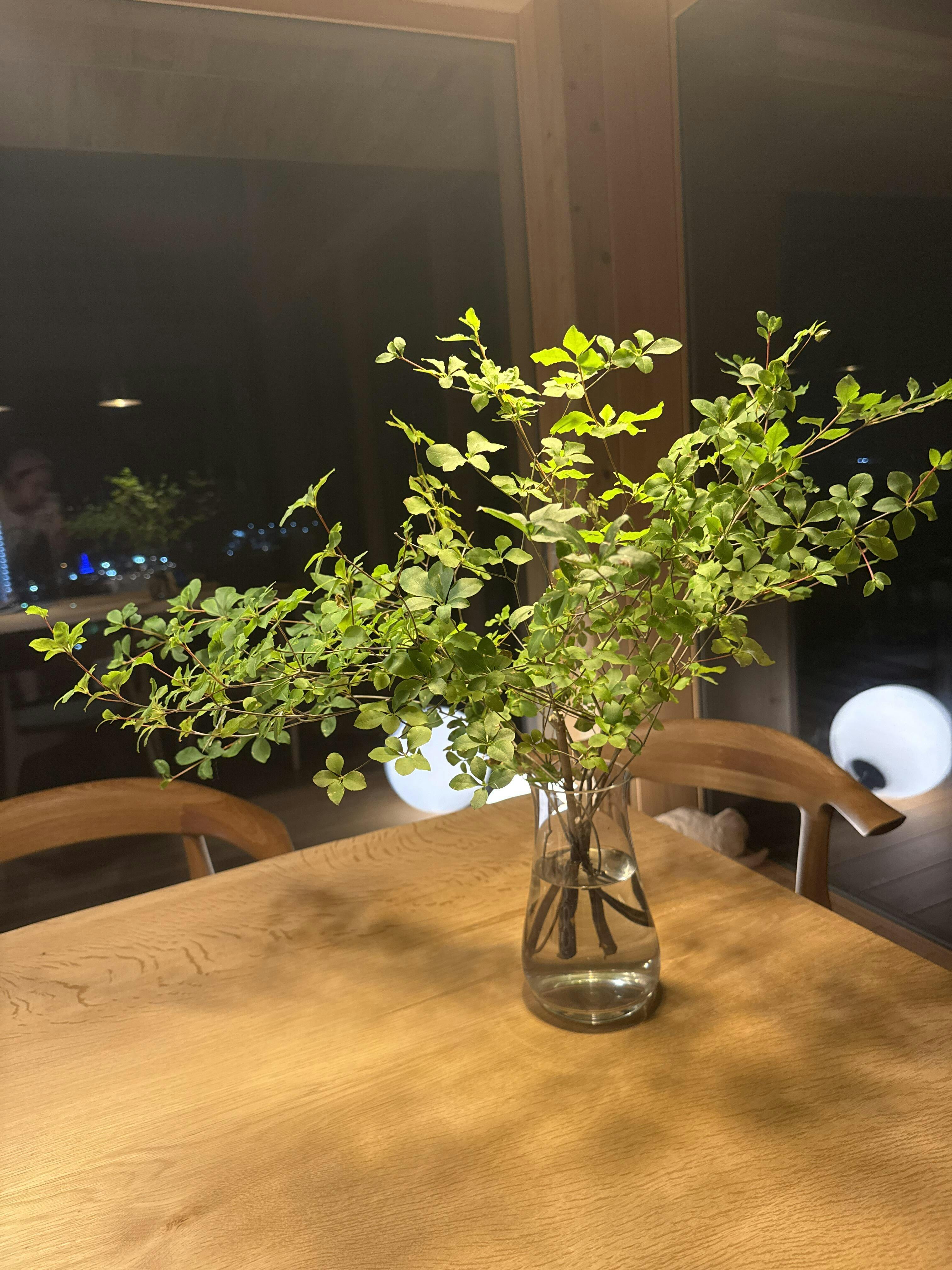 アツキオオニシ　花瓶と花のプリントエプロン imgrc0116708191.jpg