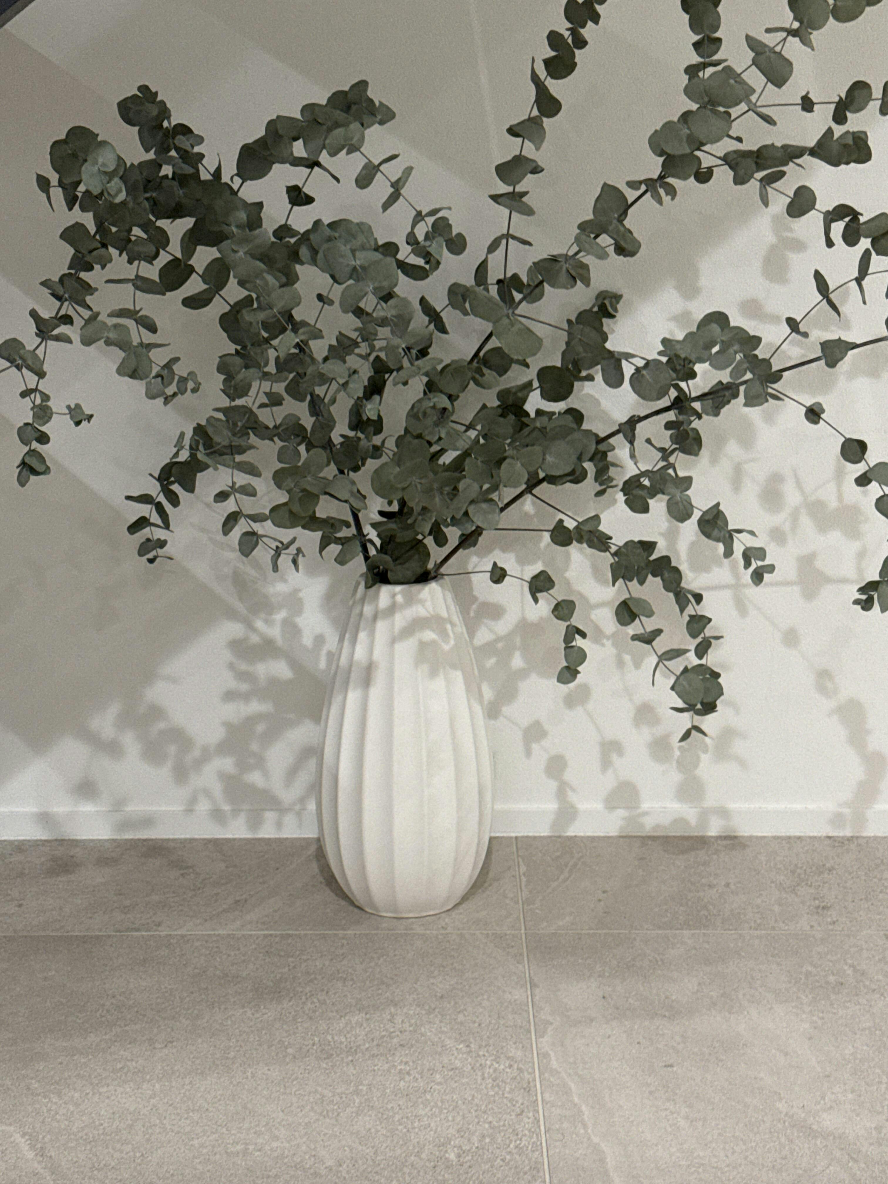 TONE ｜ 凛とマットな磁器製枝もの花器