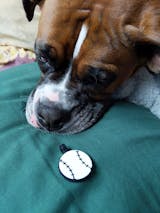 Baseball Dog ID Tag for the MLB Fan. Lightweight & Durable.