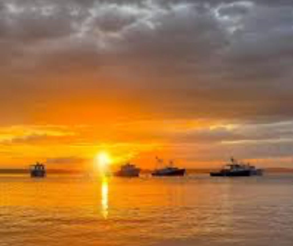 Gardeaux Lace Top Wig, "Rooted Light Platinum Blonde" (R2984)