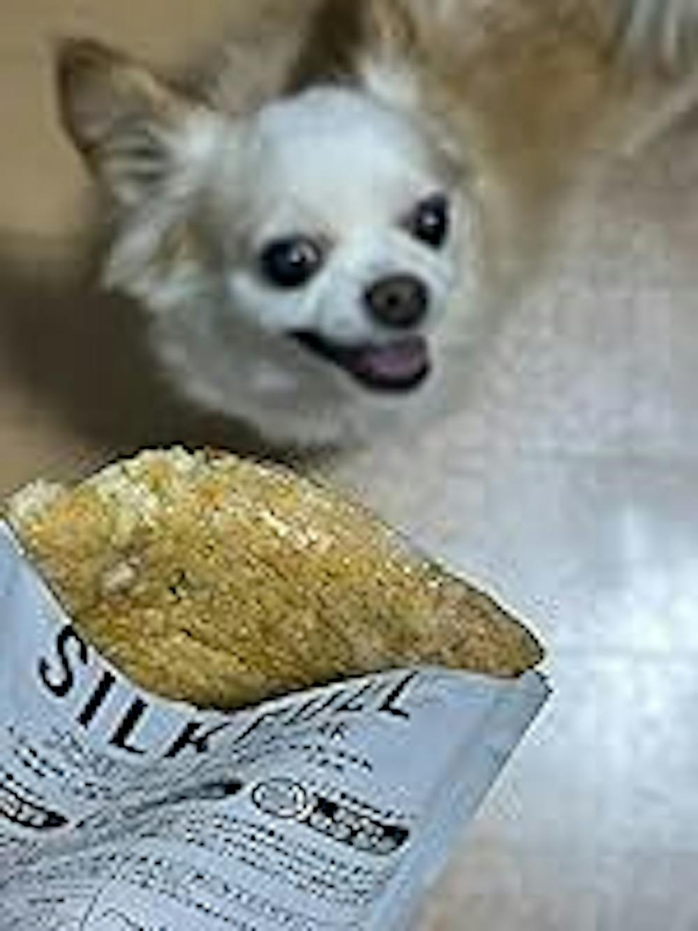 SILKFULL 犬用プレミアムウェットフード（ビーフ味、チキン味） / 私も一緒に食べたい、本当においしいごはん。
