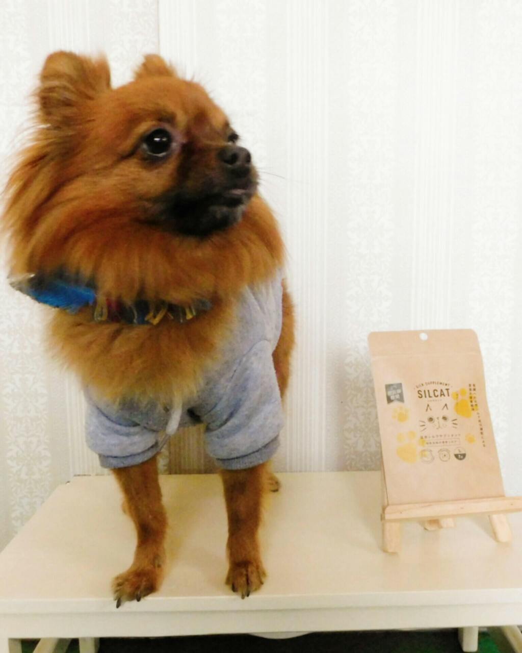 SILCAT シルキャット 猫サプリ