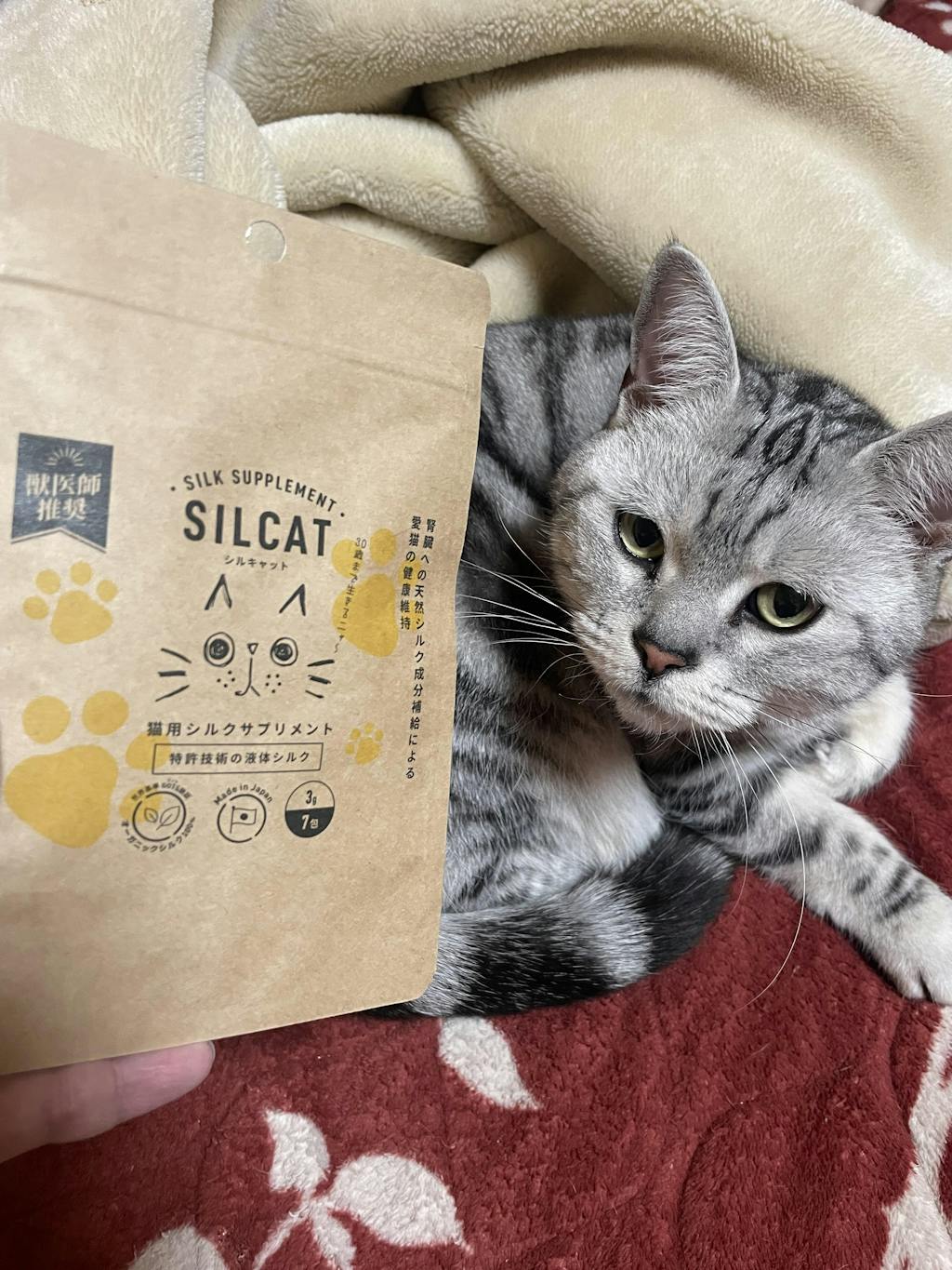 SILCAT シルキャット 猫サプリ