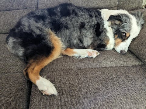 Rapid Skin Relief Medicated Shampoo