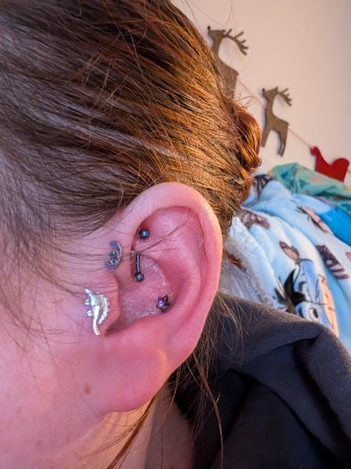 Mismatched Dinosaur Internally Threaded Flat Back /Screw Back / Stud Earrings in Sterling Silver, Silver or Gold or Rose Gold,  Asymmetric