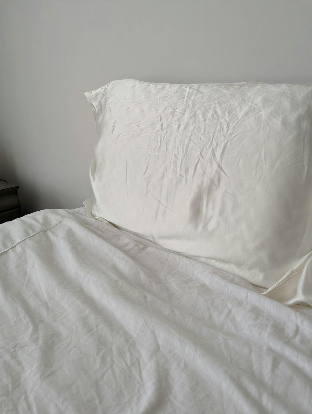 Silvi Pillowcase Mulberry Silk Silvi CA