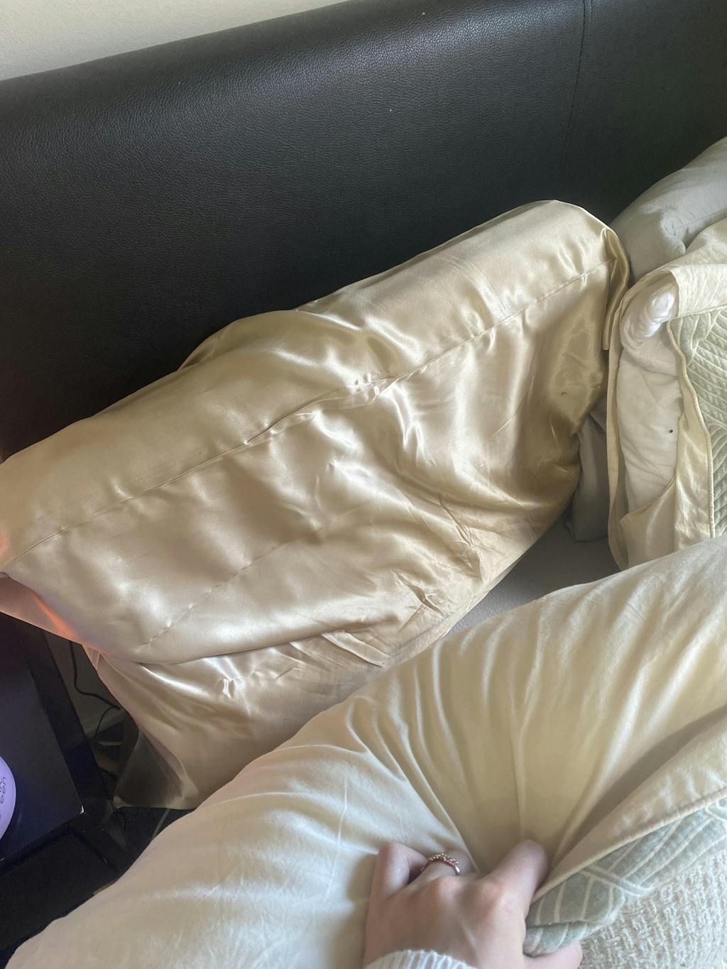 Silvi Pillowcase Mulberry Silk Silvi CA