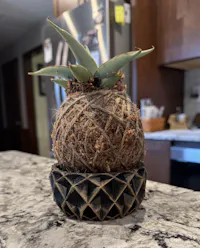 Feb. 13 & 14 & 15, 2026 - Dodge City, KS