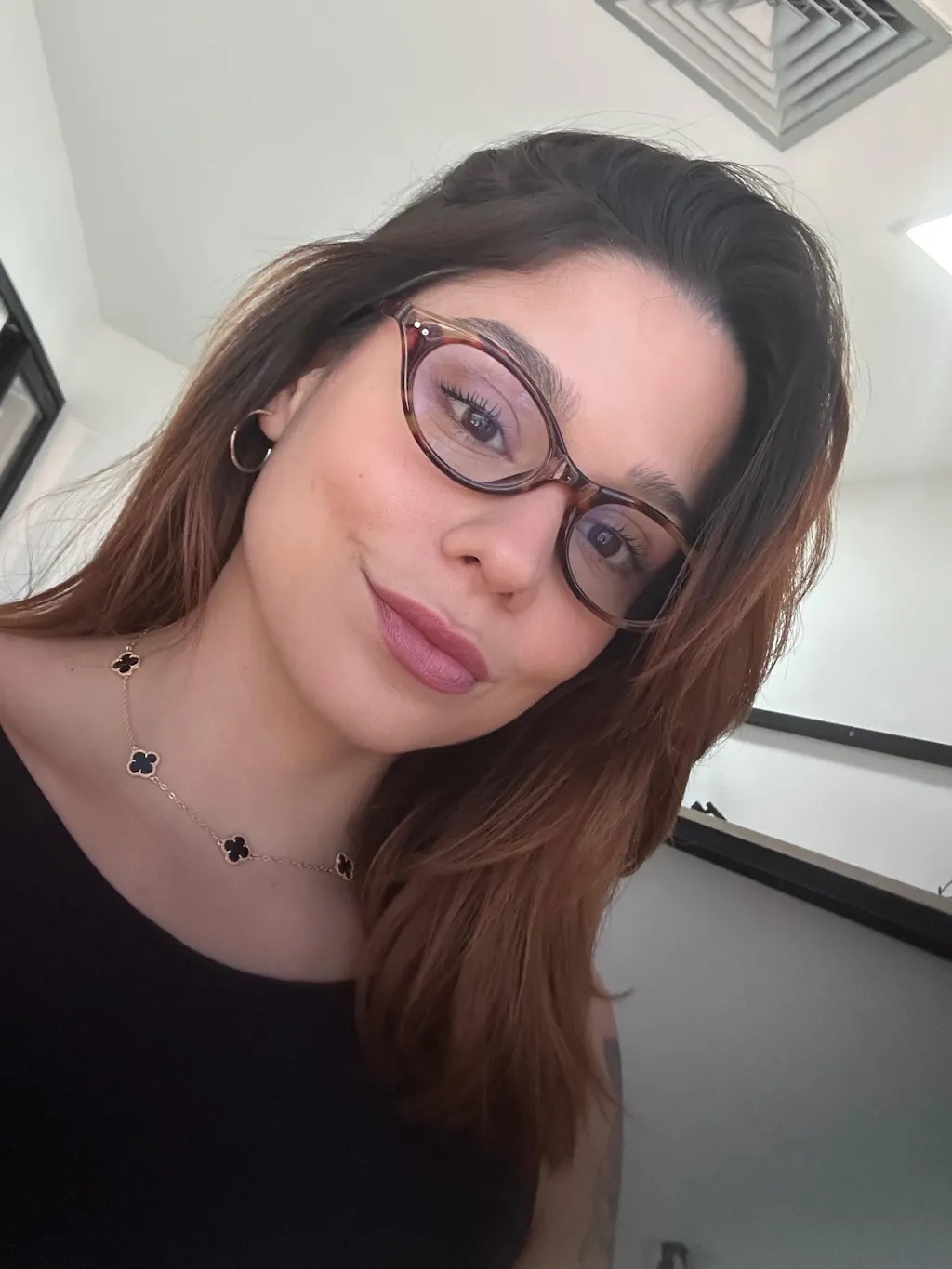 Armação | Gato K16 Tartaruga