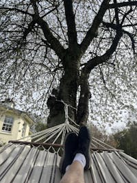 Brasilia Cappuccino Hammock