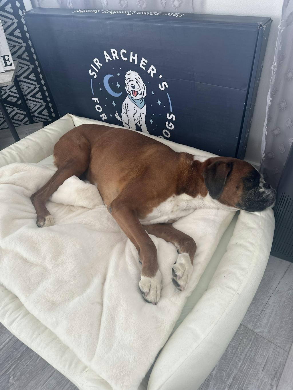 A brown dog sleeping on a cozy white bed next to a sign.