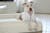 Jax Bed - Orthopaedic Memory Foam Dog Bed WHITE