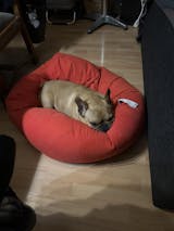 EPS Perlen ab 1 Liter bis 430 Liter: Füllung für Sitzsäcke, Stillkissen, DIY-Projekte & mehr