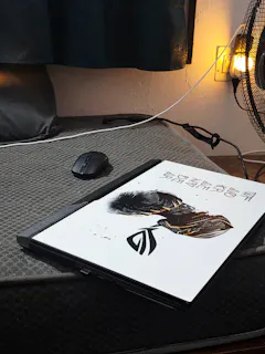 Review picture