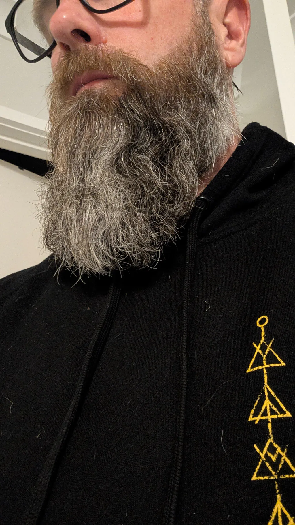 Skol Basics Beard Kit (Select Your Fragrances)