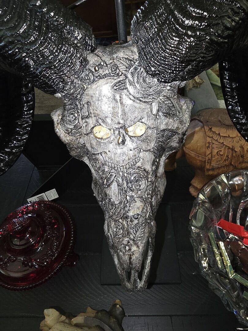 Hand Carved Ram Skull - Black Thorn – Skull Bliss