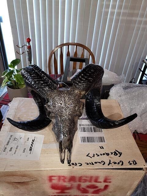Ram Skull - White Storm – Skull Bliss