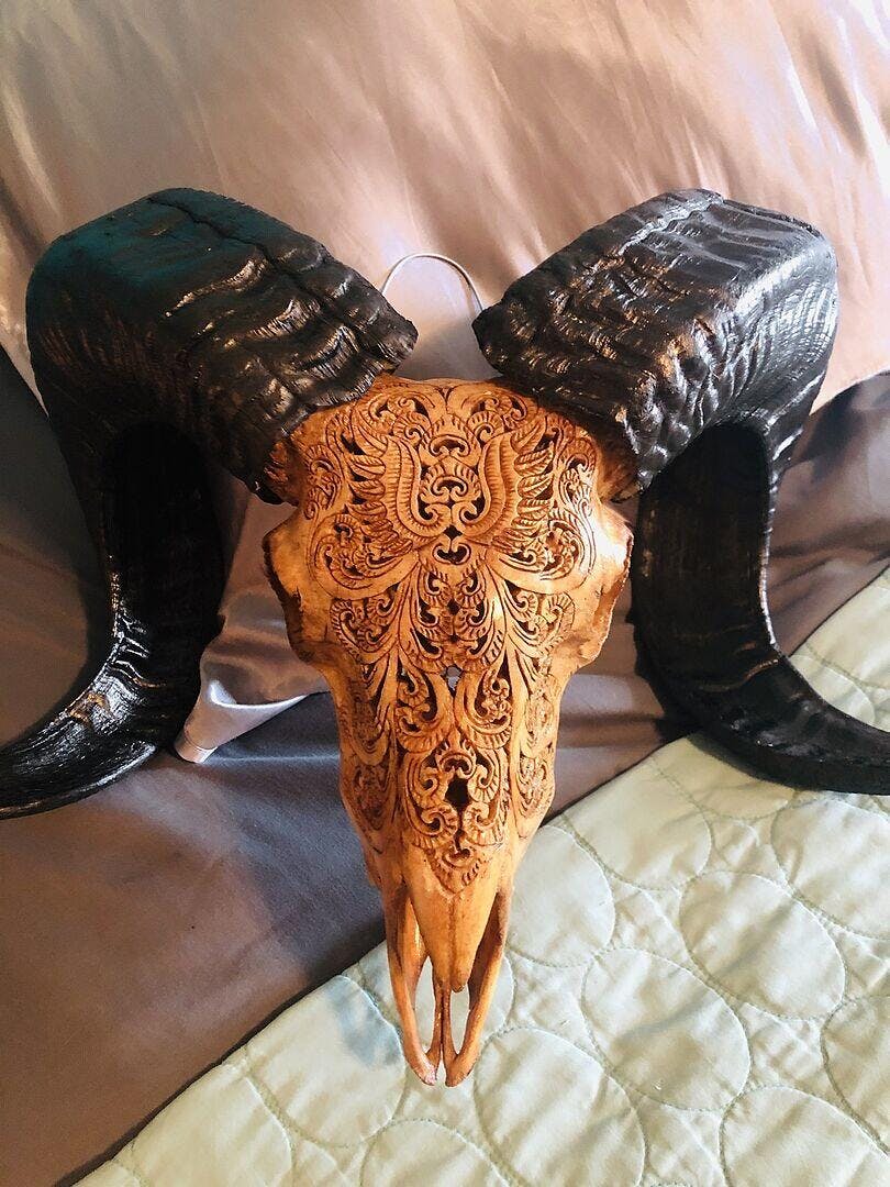 Hand Carved Ram Skull - White Phoenix – Skull Bliss