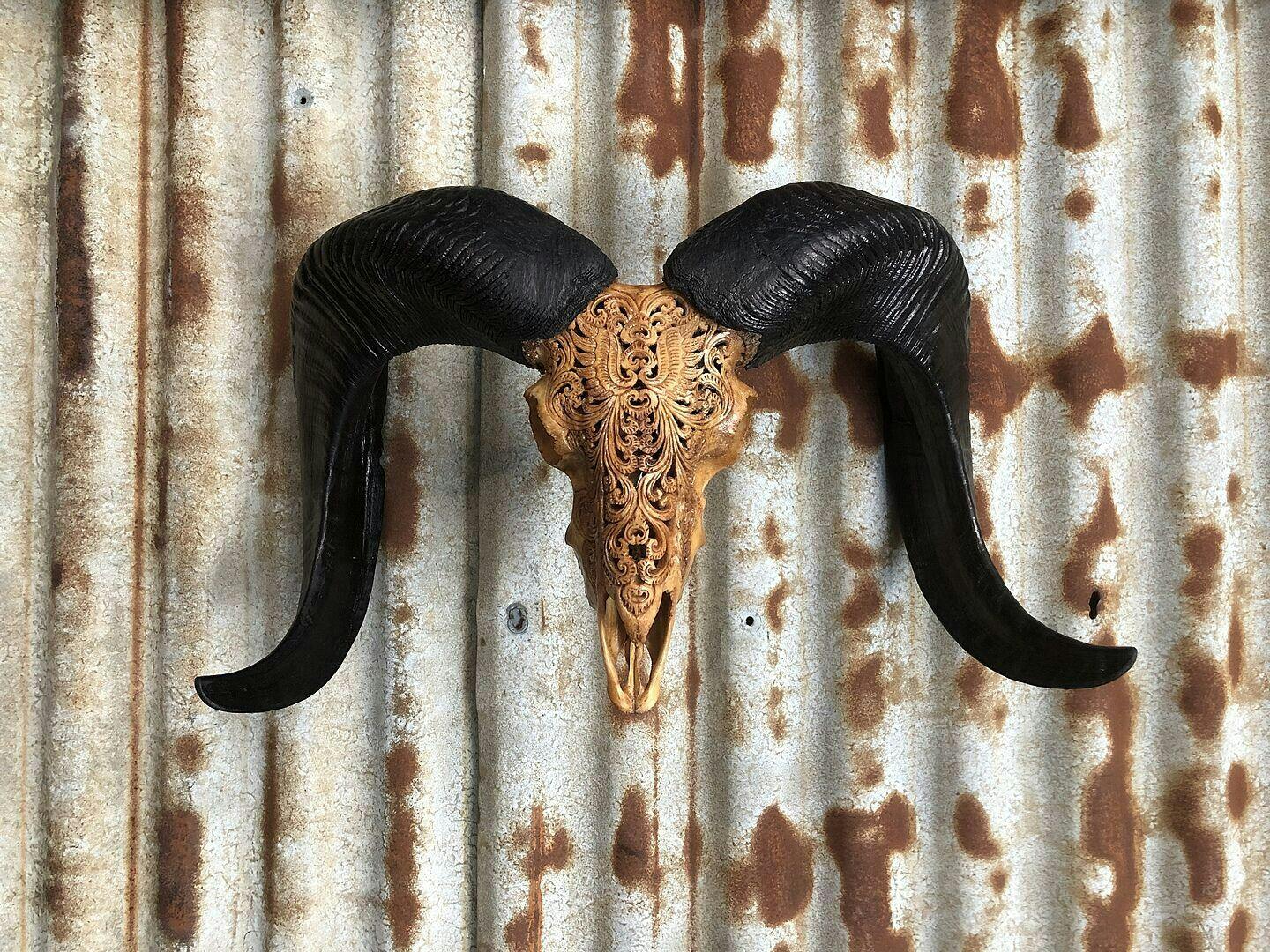 Hand Carved Ram Skull - White Phoenix – Skull Bliss