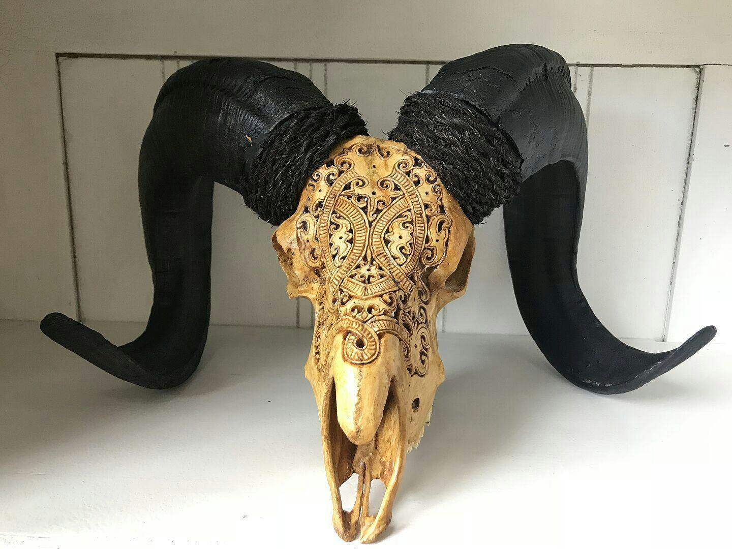 Hand Carved Ram Skull - White Phantom – Skull Bliss