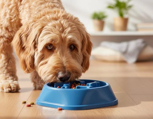 Bone Maze Slow Feeder – Prevents Choking & Bloating