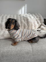 Cotton Candy Days Dog Shirt