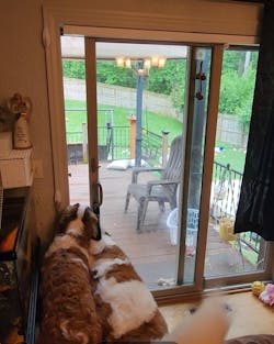 SmartSlydr – Smart Pet Door