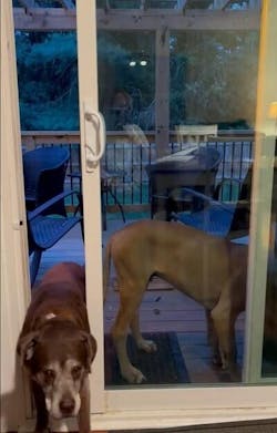 SmartSlydr – Smart Pet Door