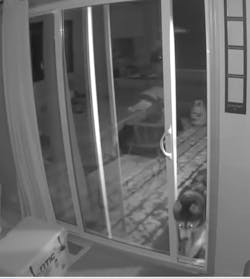 SmartSlydr – Smart Pet Door