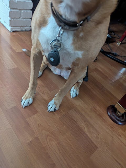 SmartSlydr – Smart Pet Door