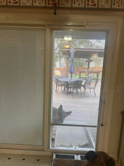 SmartSlydr – Smart Pet Door