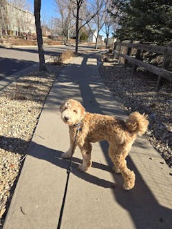 SmartSlydr – Smart Pet Door