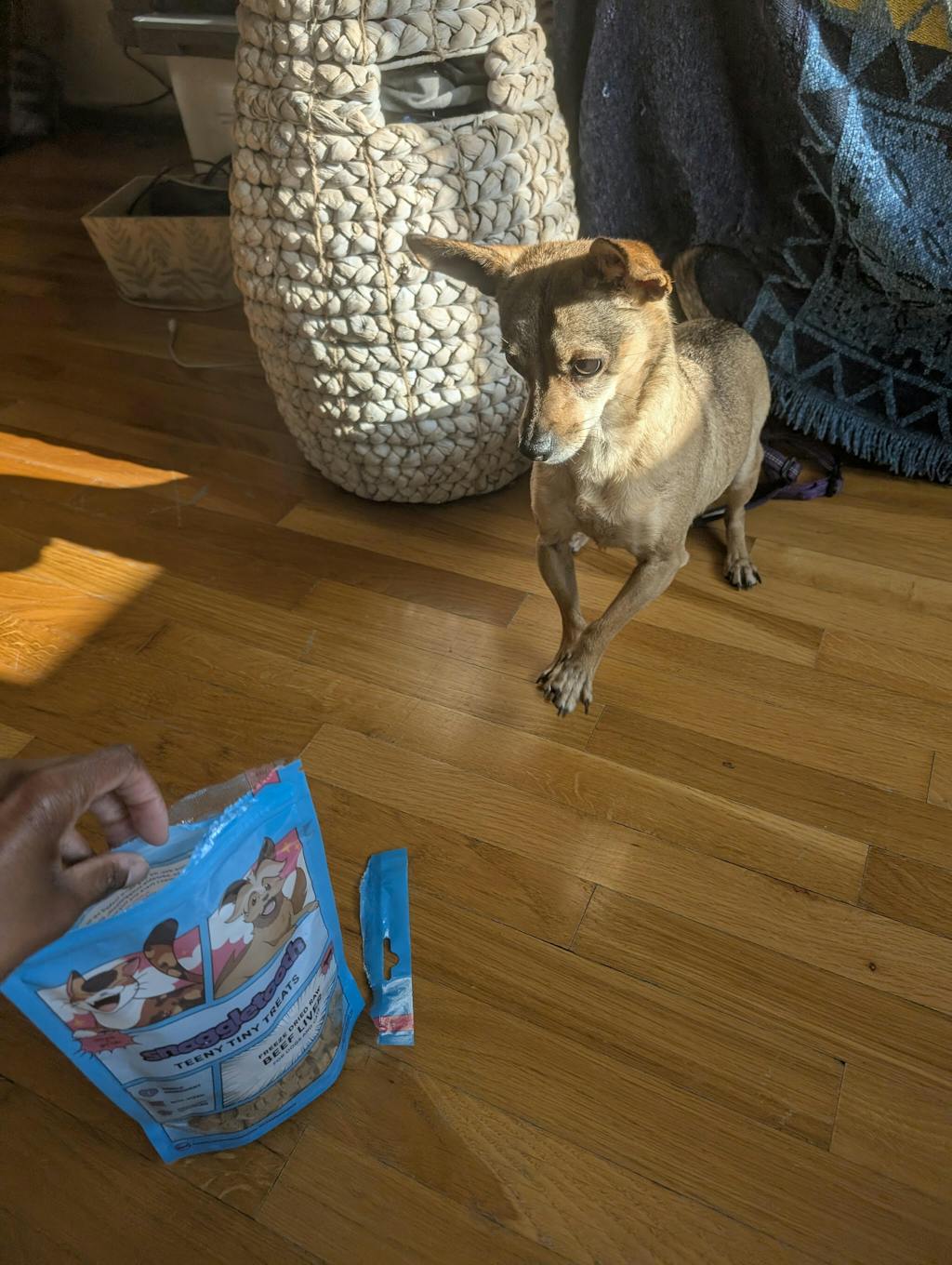 Beef Liver Teeny Tiny Treats