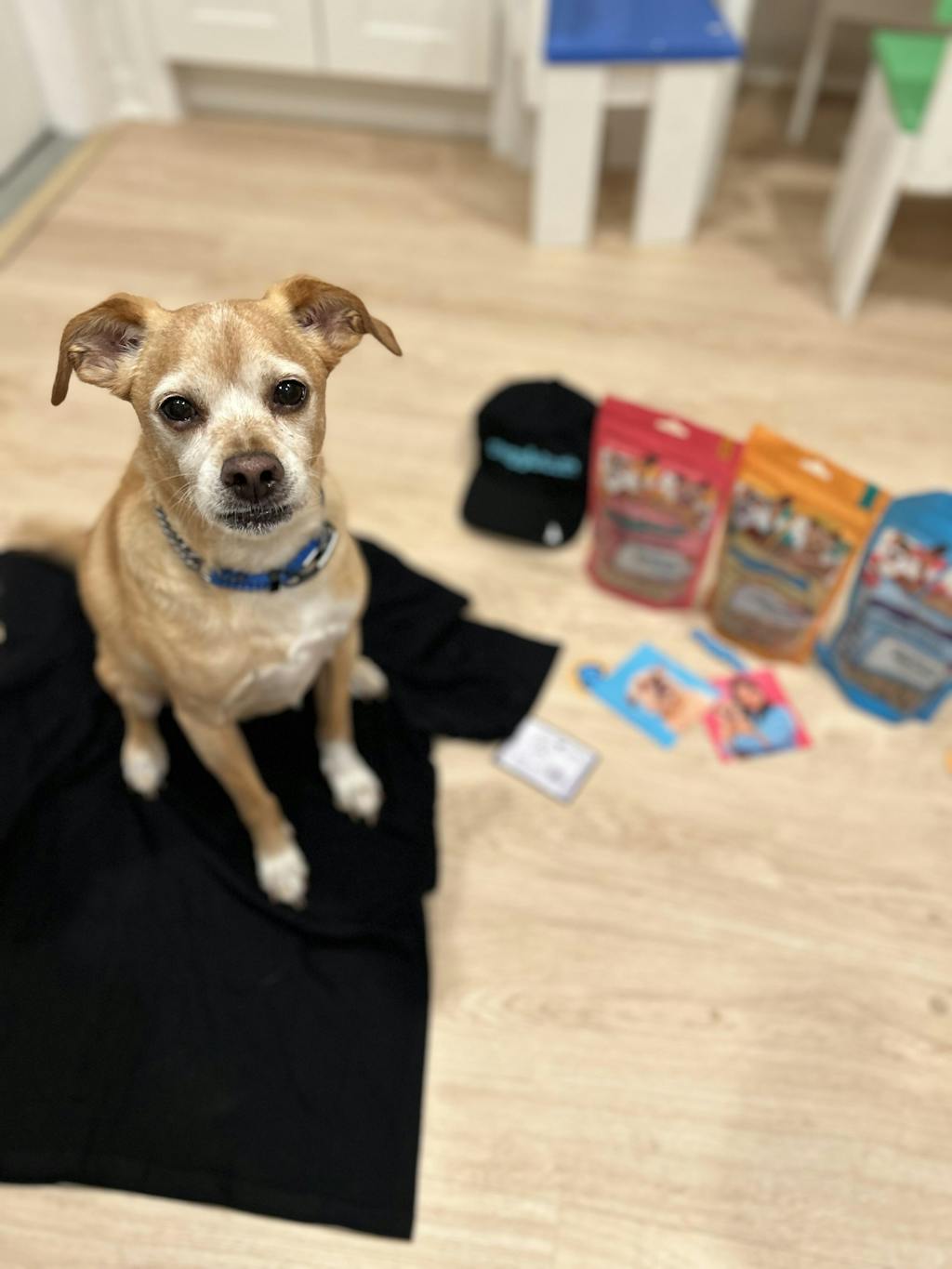 Teeny Tiny Treat Bundle