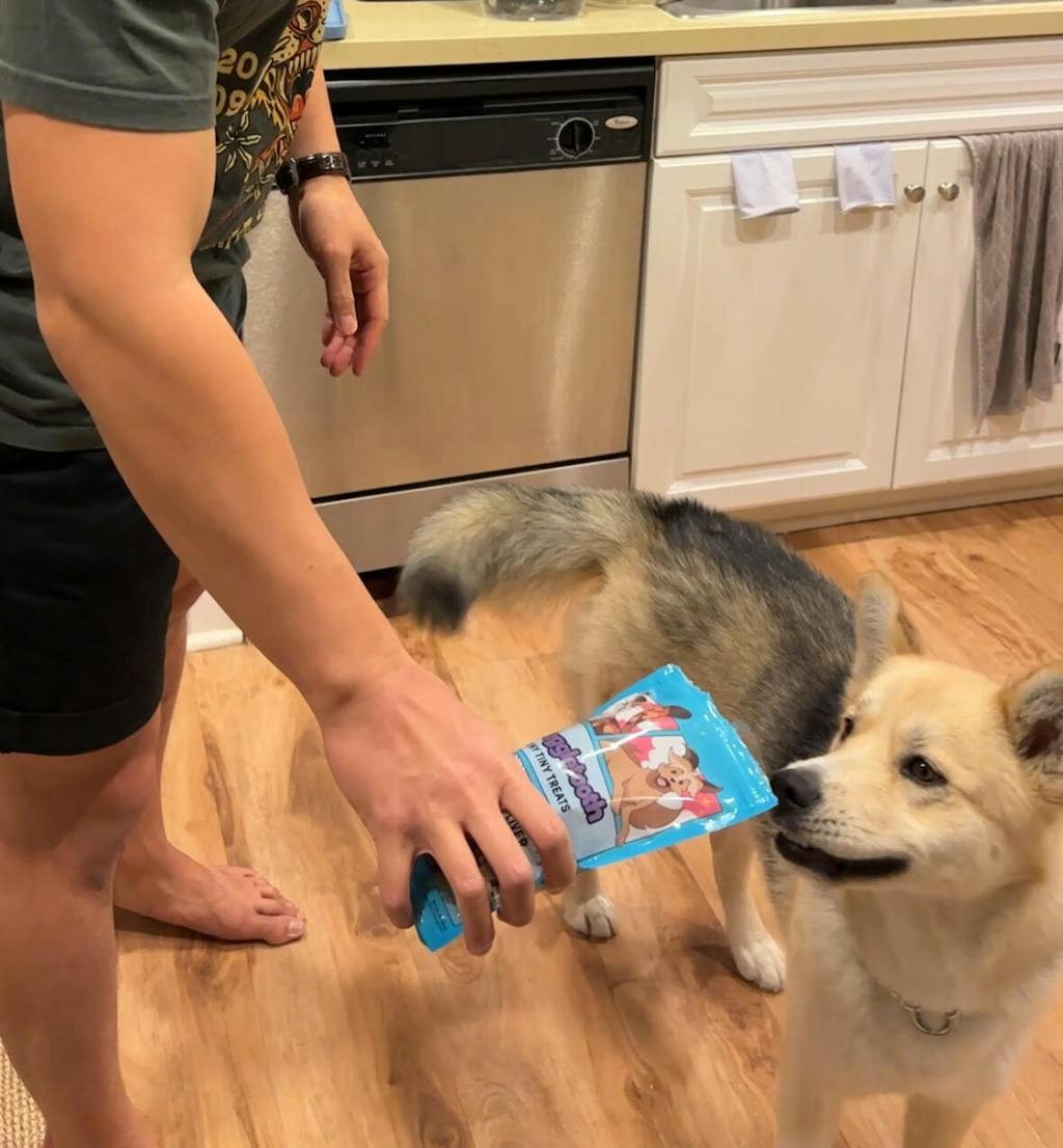 Teeny Tiny Treat Bundle