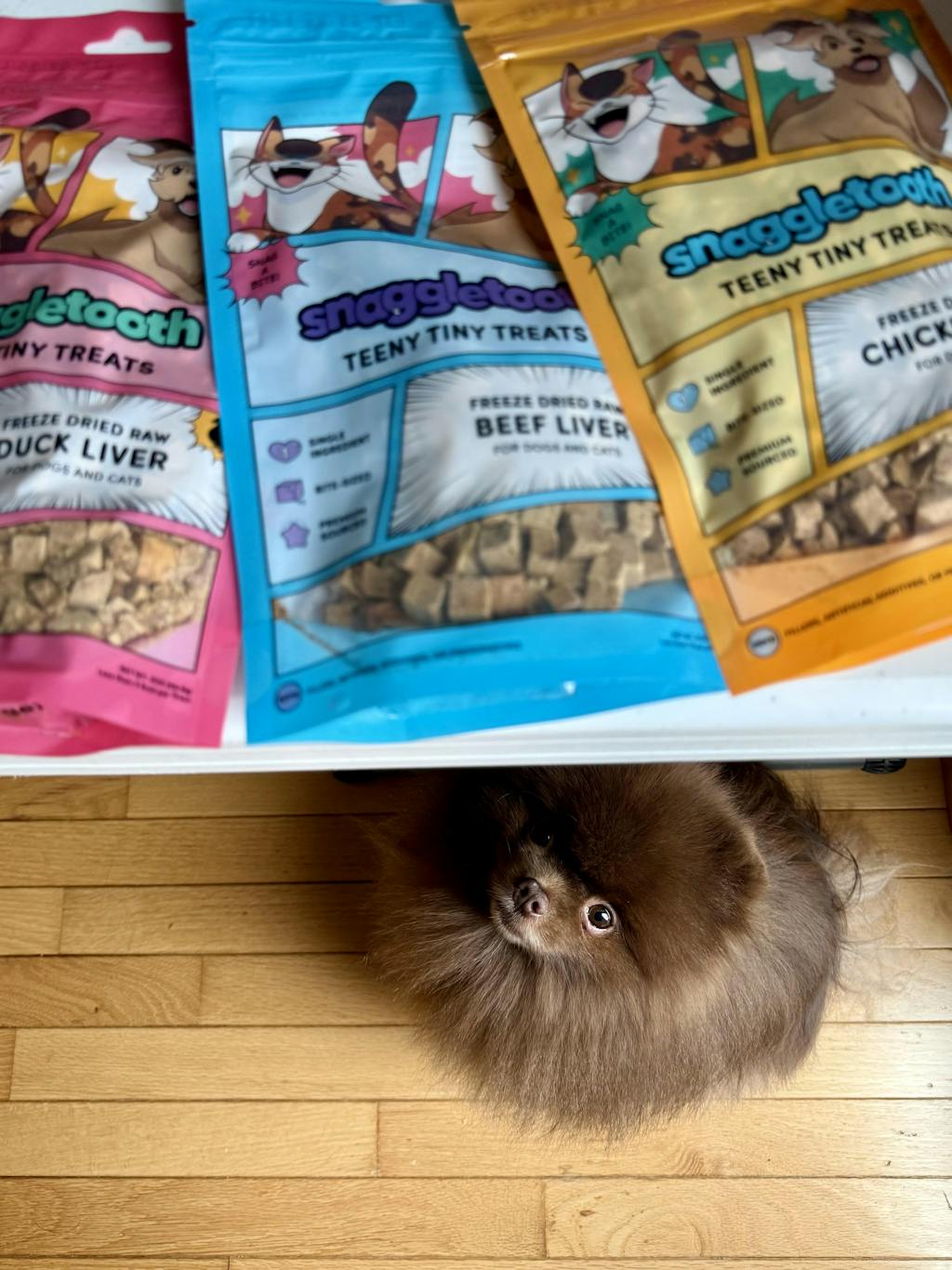 Teeny Tiny Treat Bundle