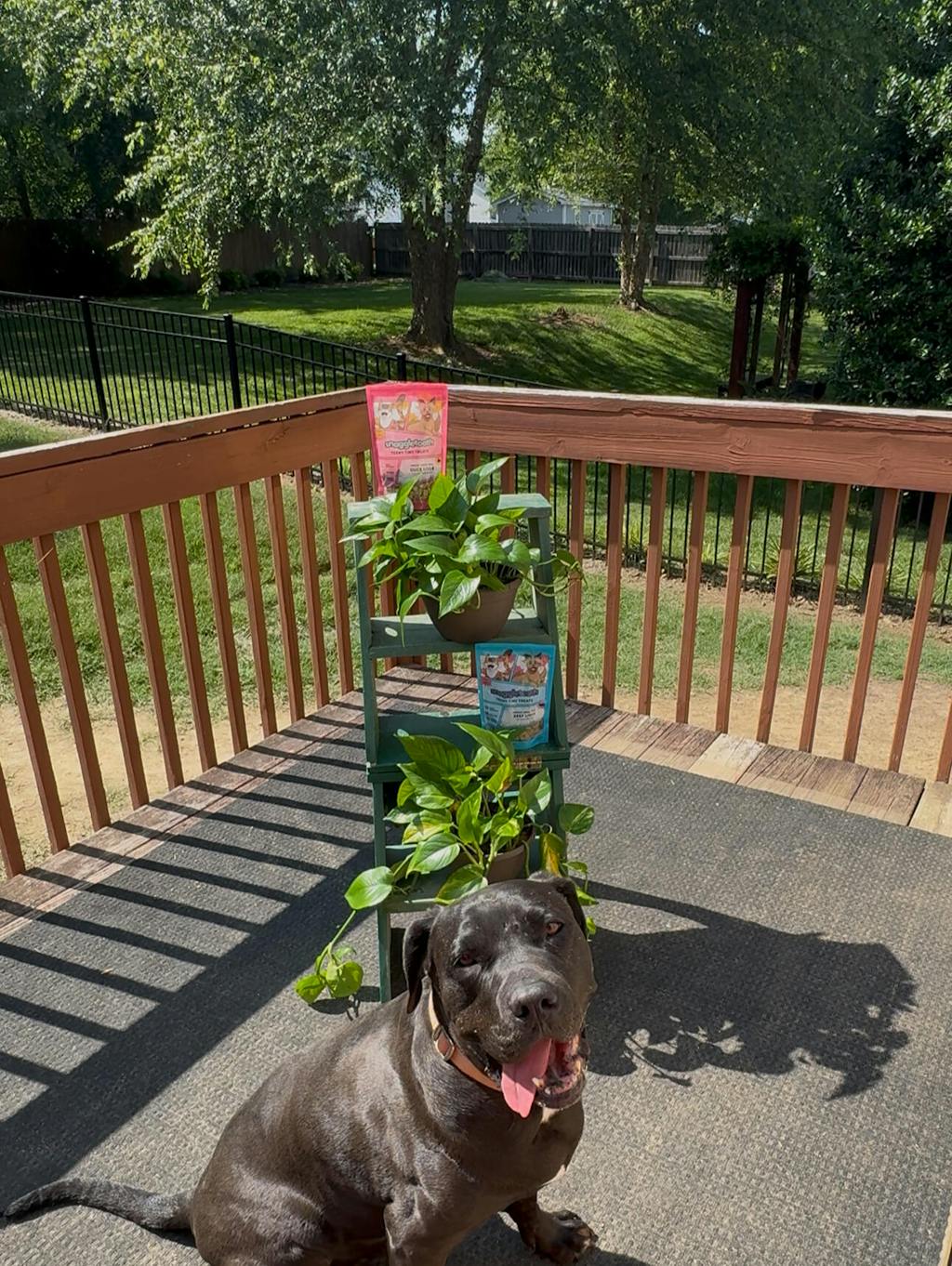 Beef Liver Teeny Tiny Treats