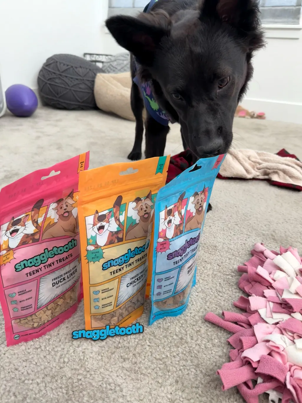 Teeny Tiny Treat Bundle