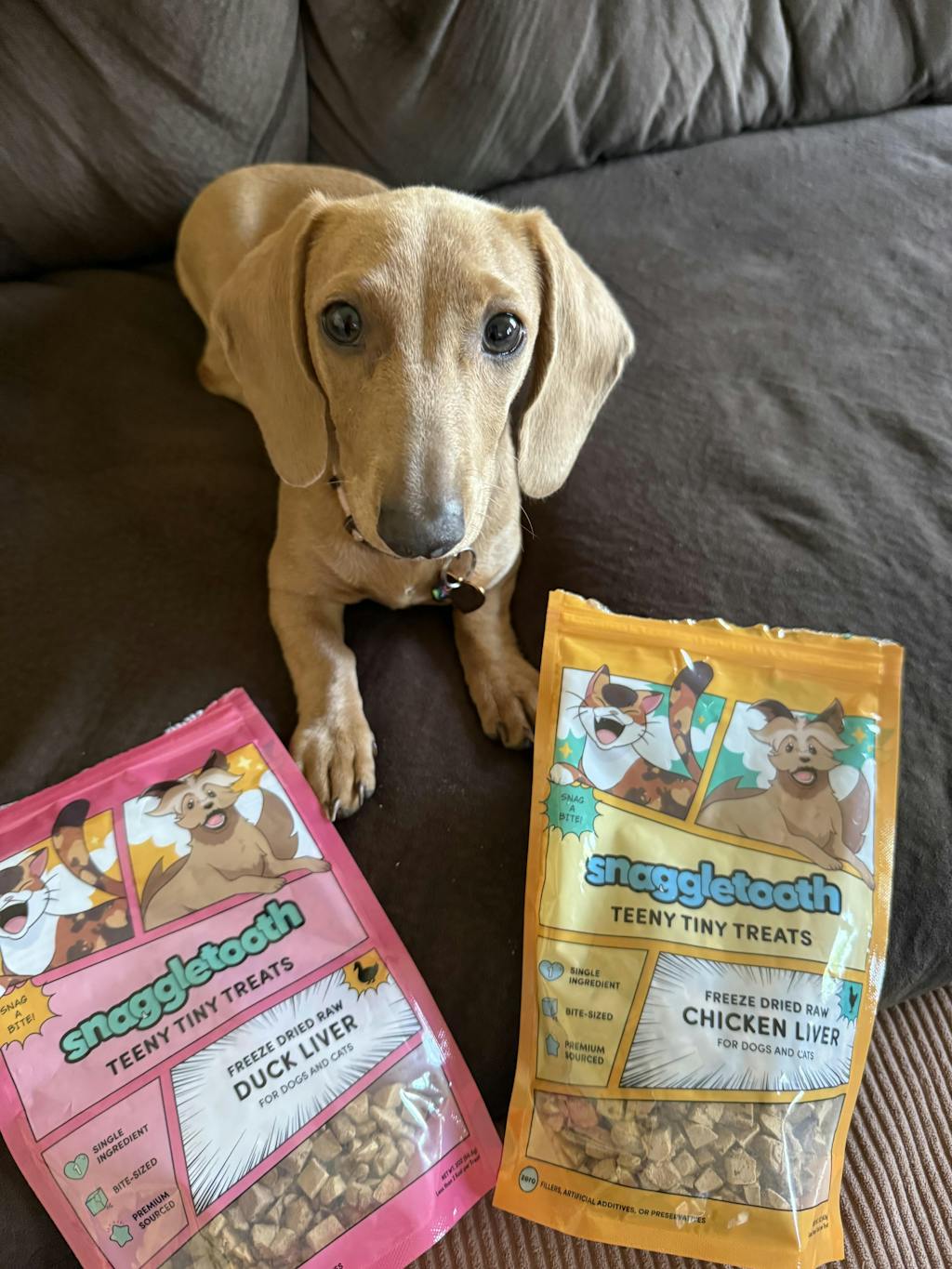 Chicken Liver Teeny Tiny Treats