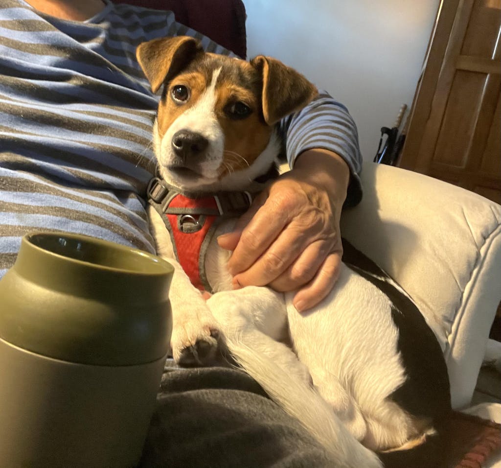 Teeny Tiny Treat Bundle