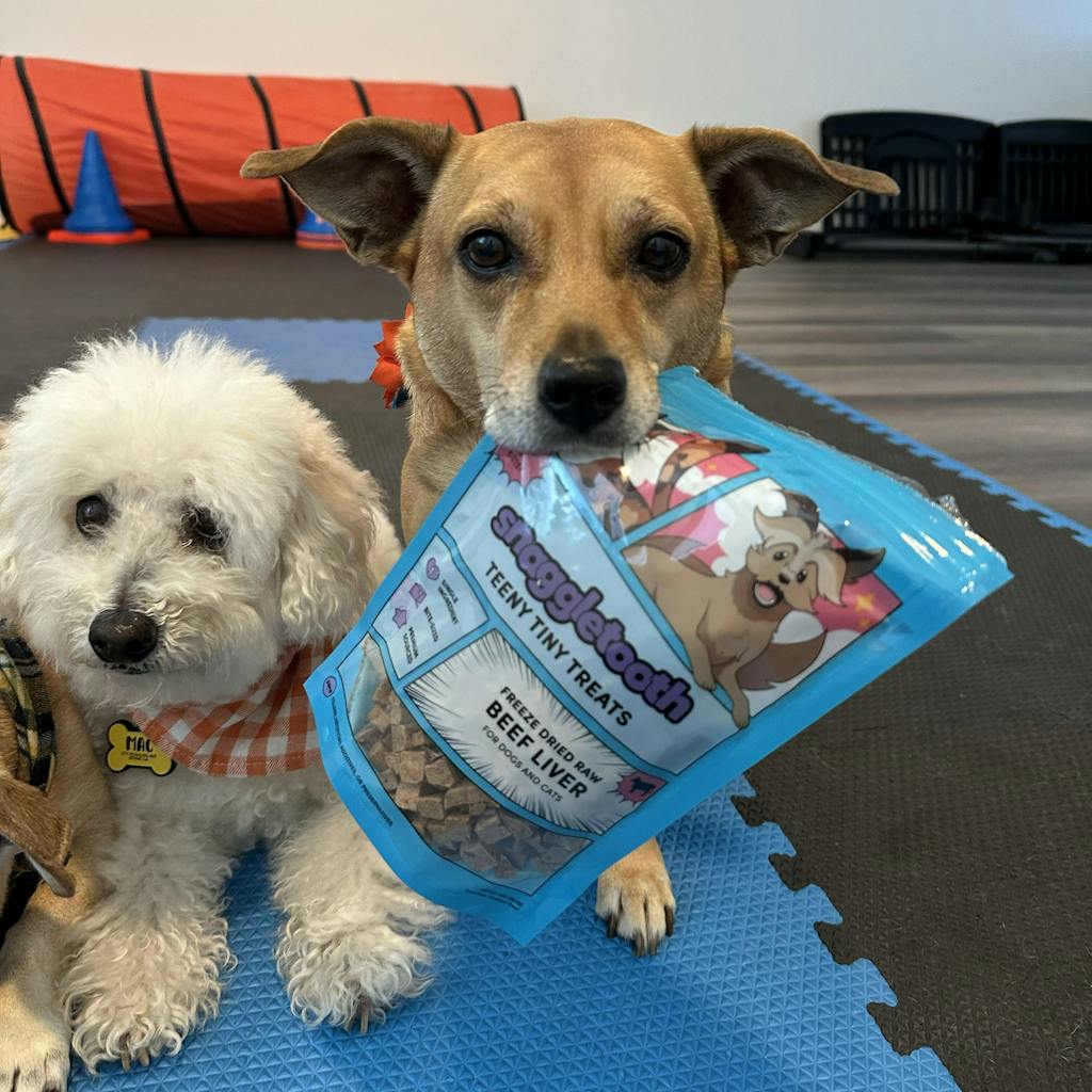 Beef Liver Teeny Tiny Treats