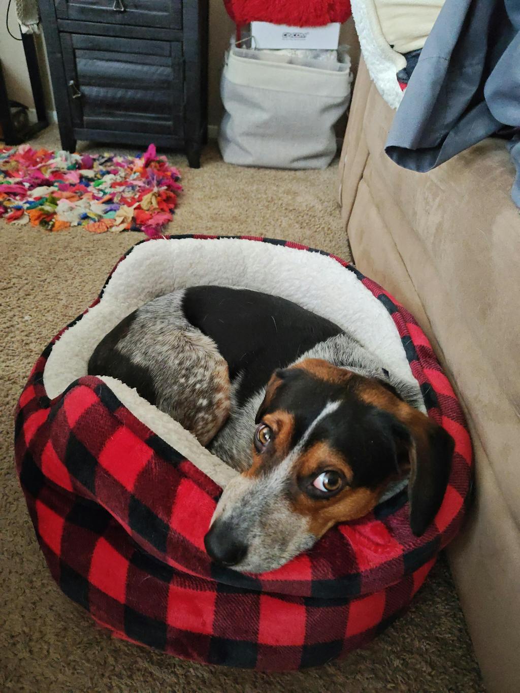 Teeny Tiny Treat Bundle