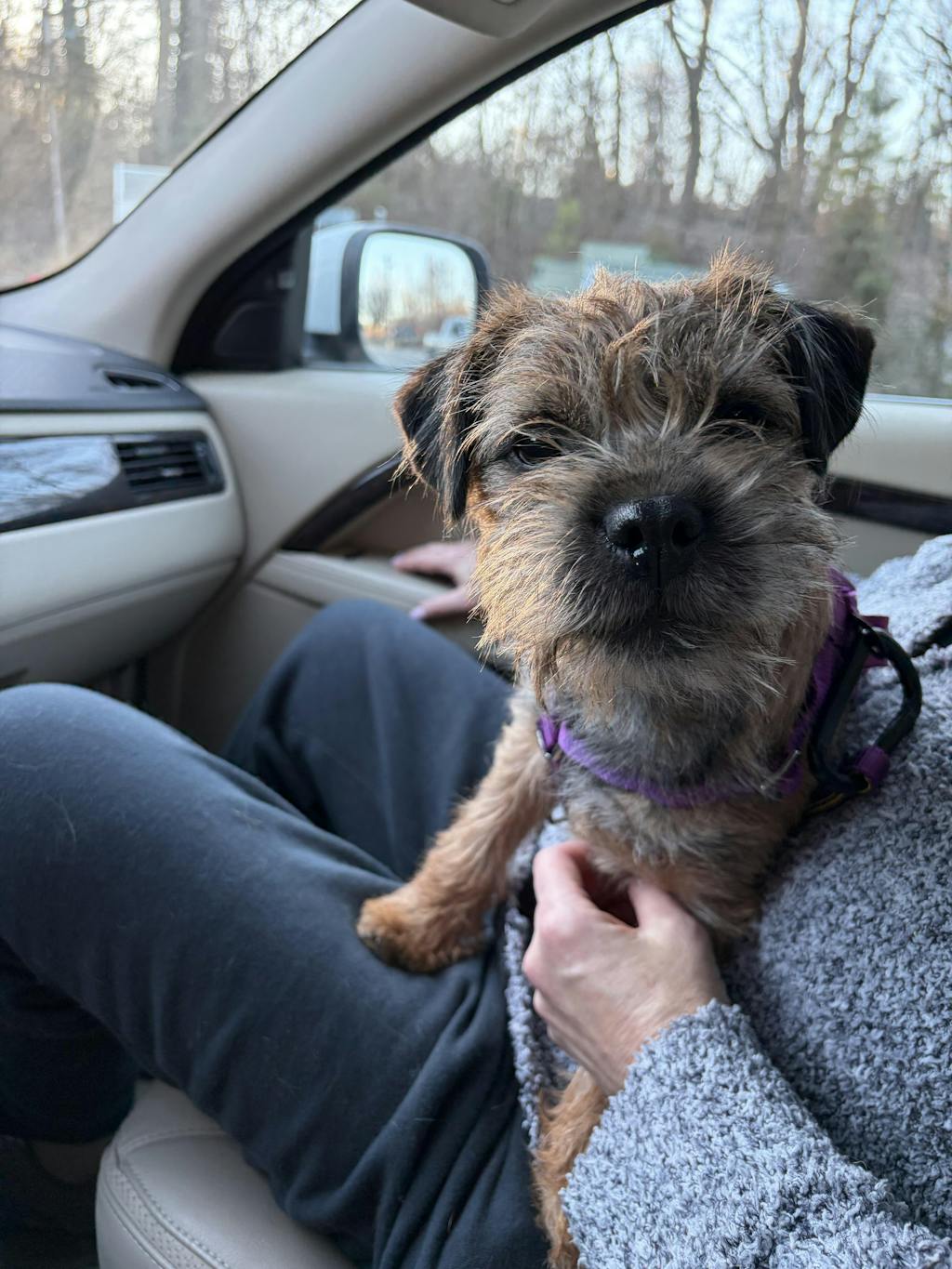 Teeny Tiny Treat Bundle